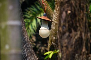 Photo outdoor pendant light