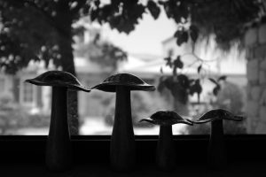Photo mushroom lamp